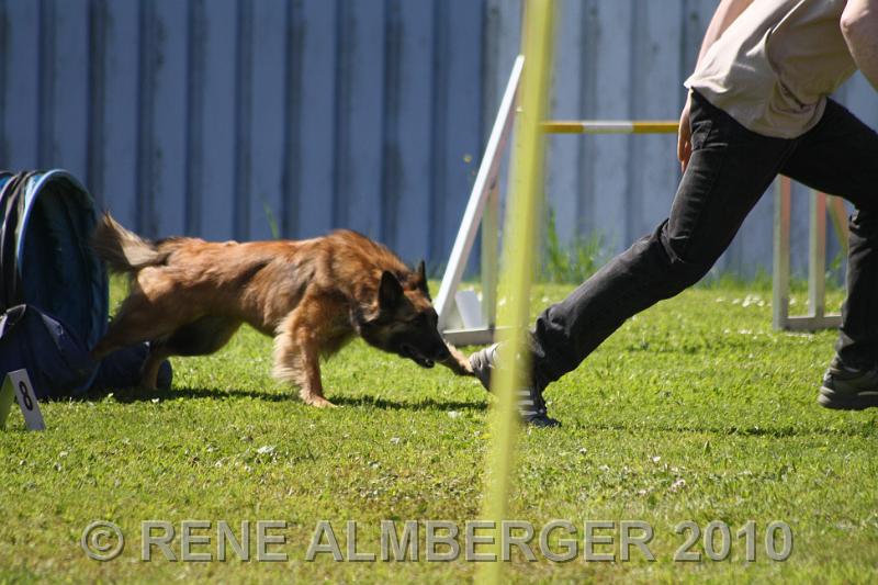Bild 380.jpg